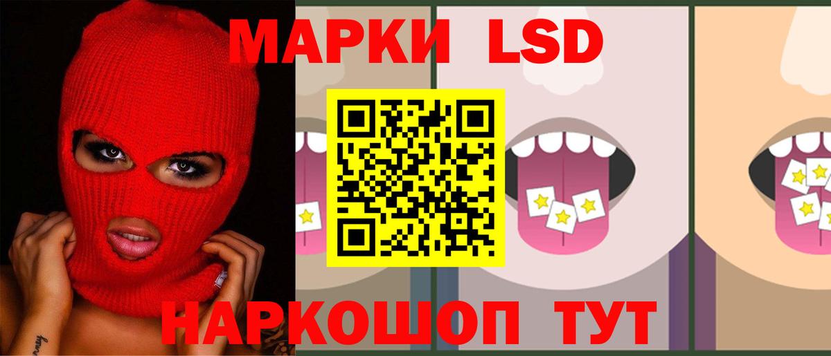 Лсд 25 экстази ecstasy  Вход с VPN  Лсд 25 экстази кислота  omg ссылки  Новозыбков 