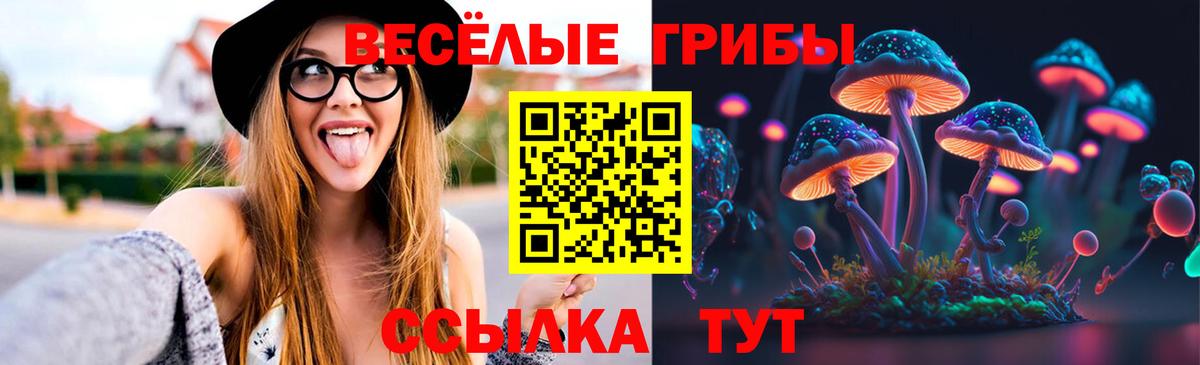 Новозыбков  Галлюциногенные грибы Psilocybe  Вход с VPN  Псилоцибиновые грибы прущие грибы 
