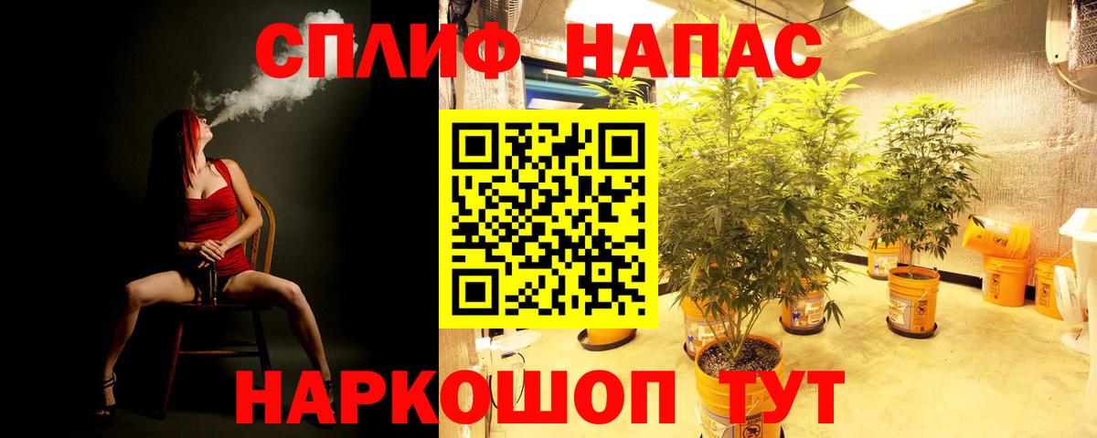 Канабис Ganja  Конопля семена  МАРИХУАНА план  Новозыбков  Вход с VPN 