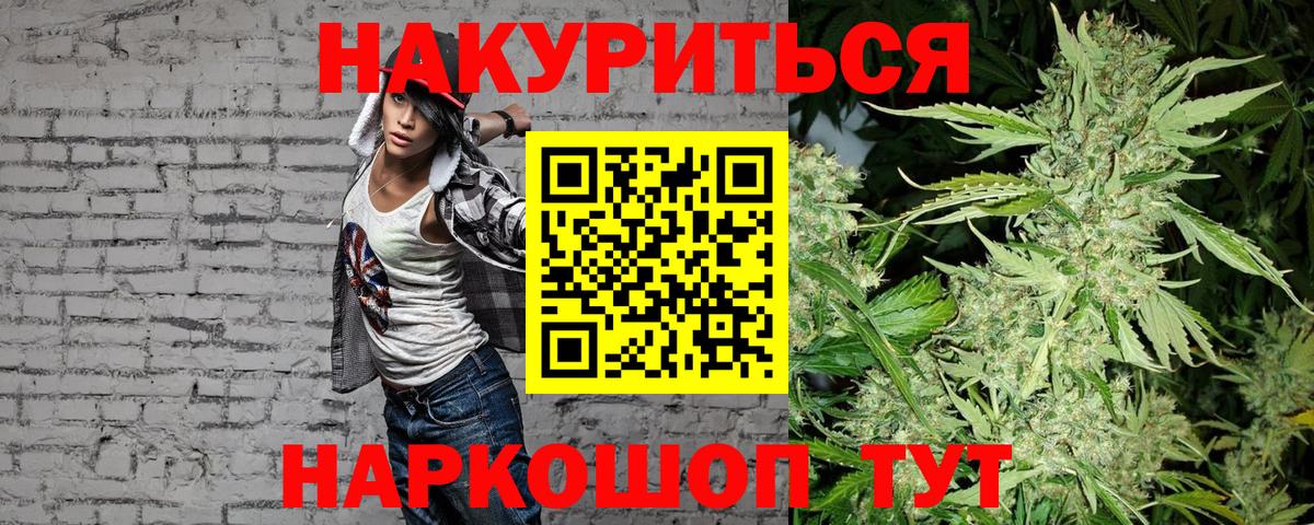Канабис план Новозыбков